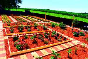 gardening-by-volunteers garden planted by volunteers